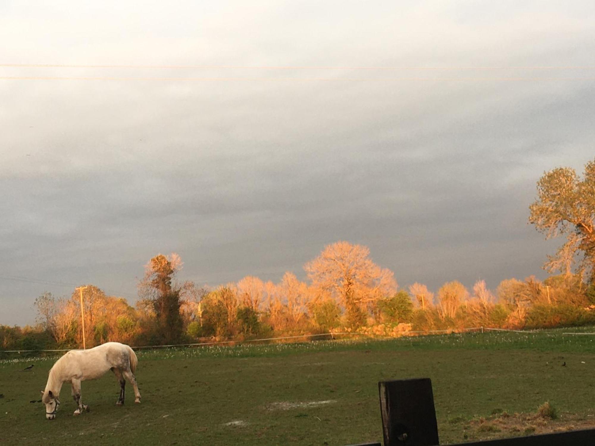 Appartamento Luxury Country Escape Ennis Esterno foto