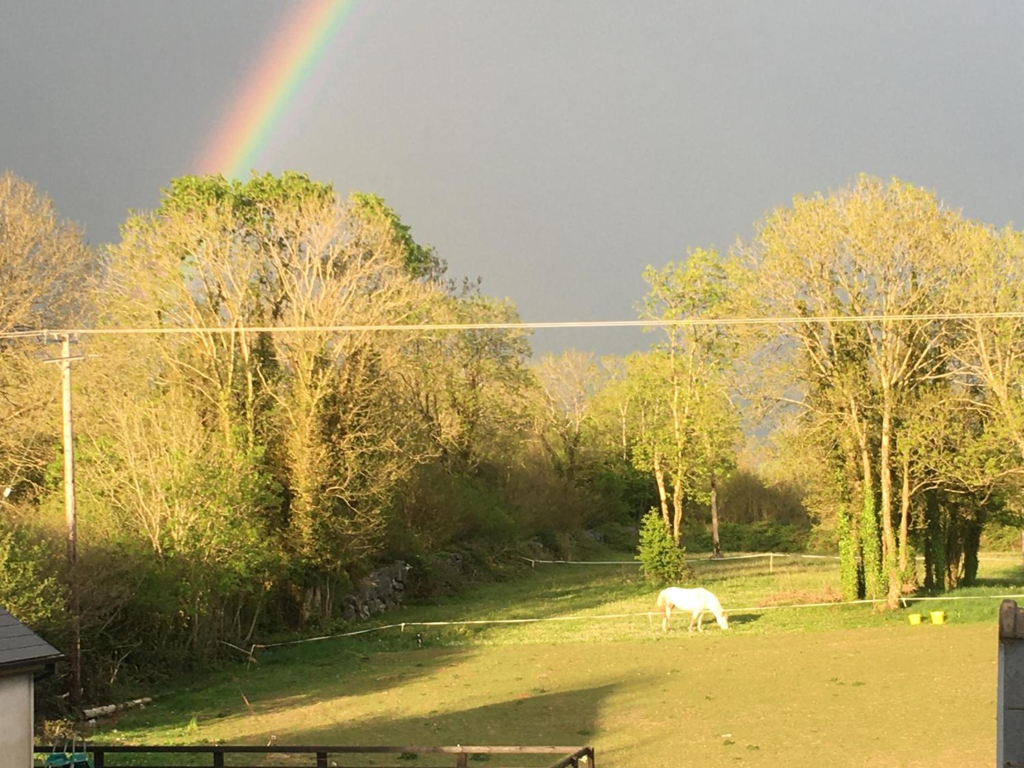 Appartamento Luxury Country Escape Ennis Esterno foto